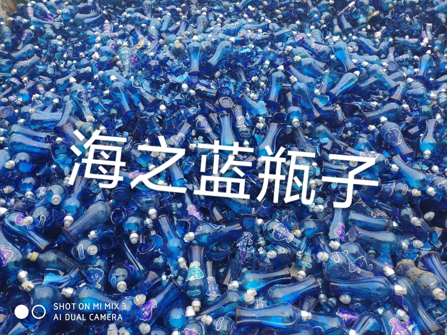沭阳海之蓝瓶回收